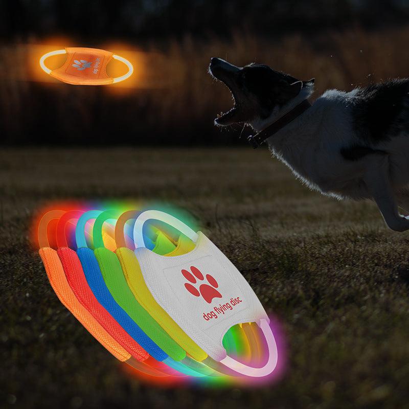 GlowFetch LED כלב דיסק