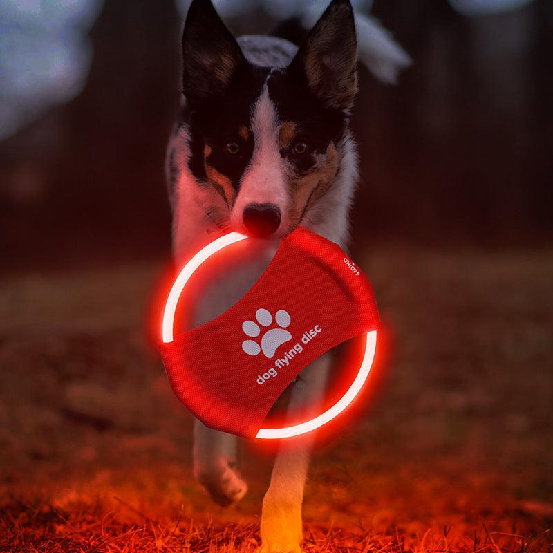 GlowFetch LED כלב דיסק